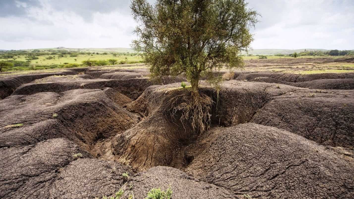 Аридизация климата в пустынно-степной зоне: причины, формы проявления и влияние на жизнь древнего населения