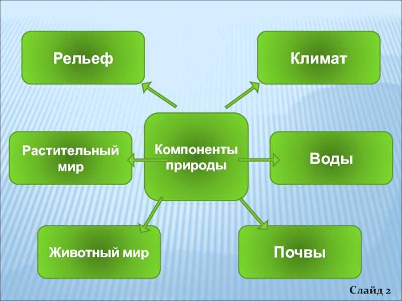 Что такое компоненты природы кратко