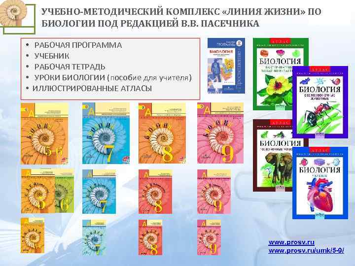 Весь материал по биологии за 8 класс кратко