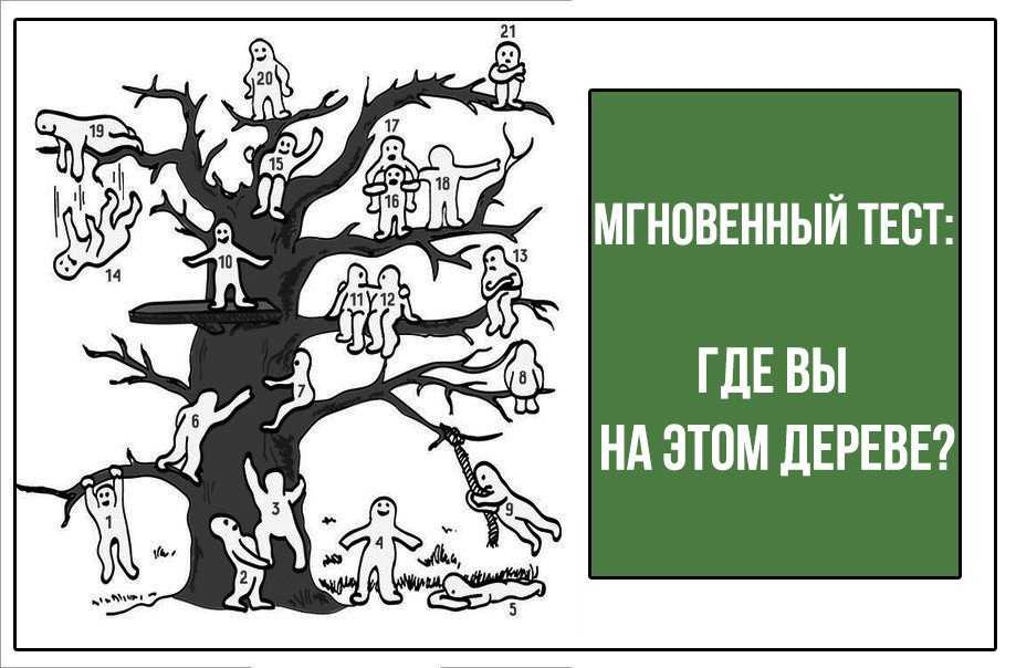 Лесная школа психологический тест: смысл и преимущества