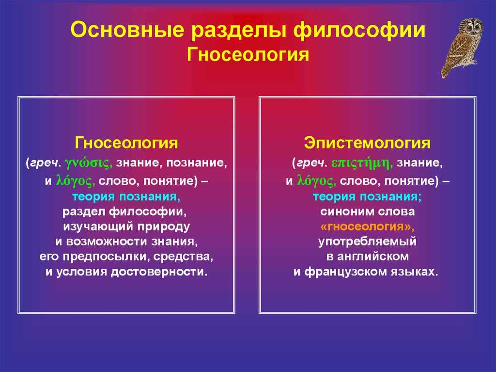 Основные направления философии