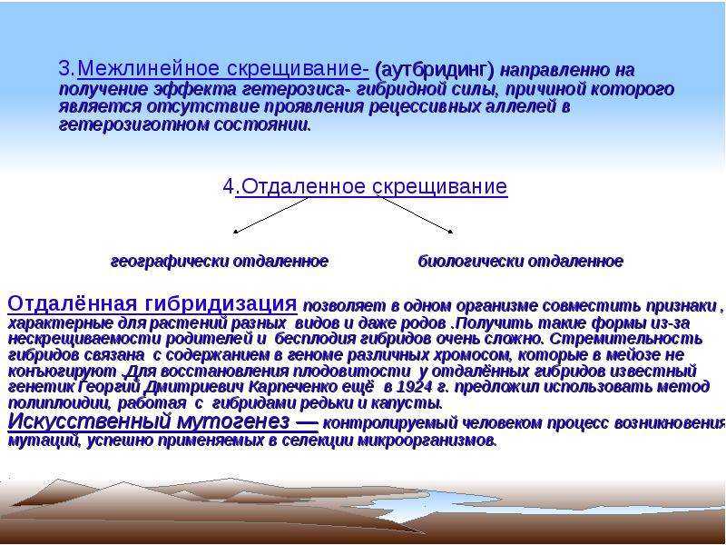Преимущества и роль межлинейной гибридизации в отборе растений - новости и статьи