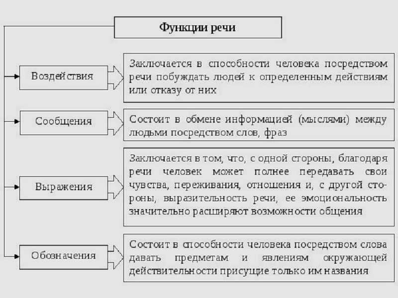 Метаязыковая функция речи: понятие и примеры использования