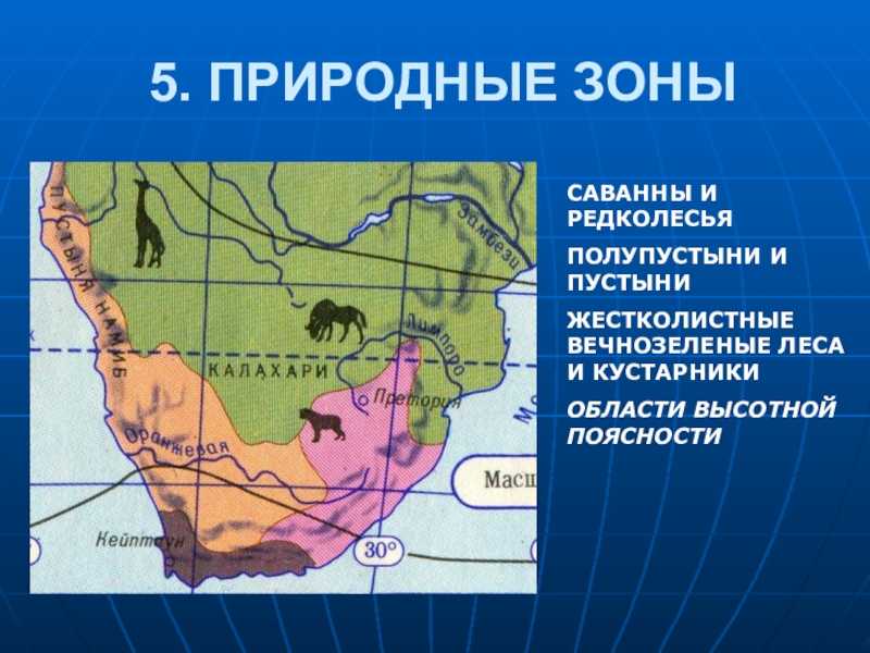 Урок 7: природные зоны - 100urokov.ru