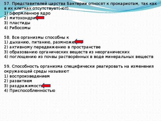 Прокариоты и эукариоты — что это и в чем их отличия - r-kosmos