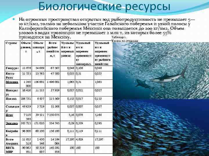 Ресурсы морей белого моря
