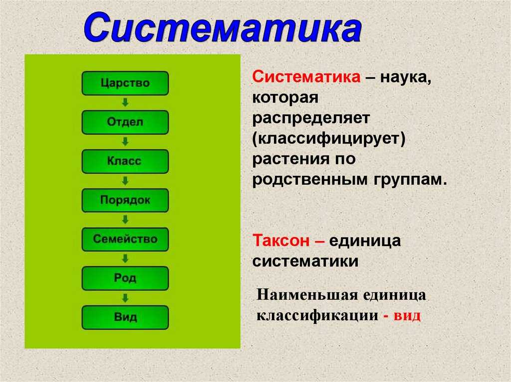 Классификация животных и животного мира – виды в таблице (биология, 7 класс)
