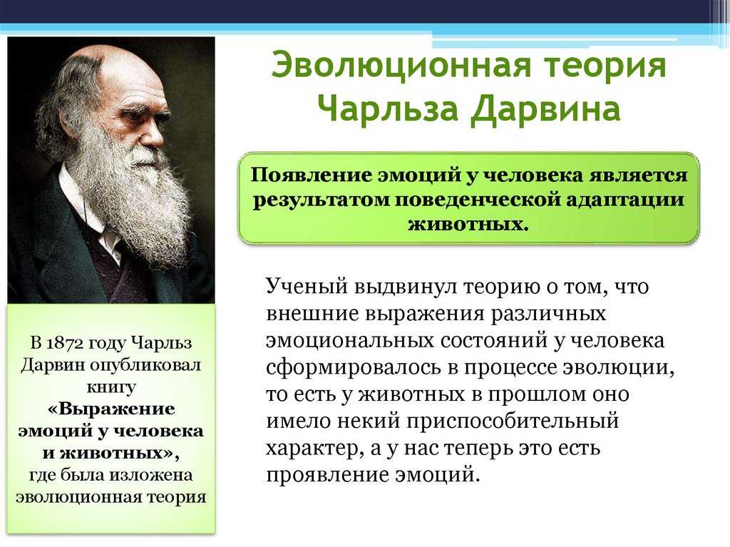Теория происхождения человека по дарвину кратко. происхождение человека от обезьяны