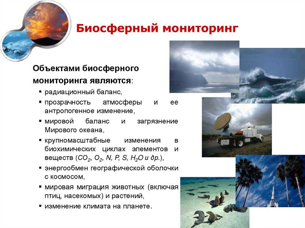Экологический мониторинг, определение, виды, методы проведения