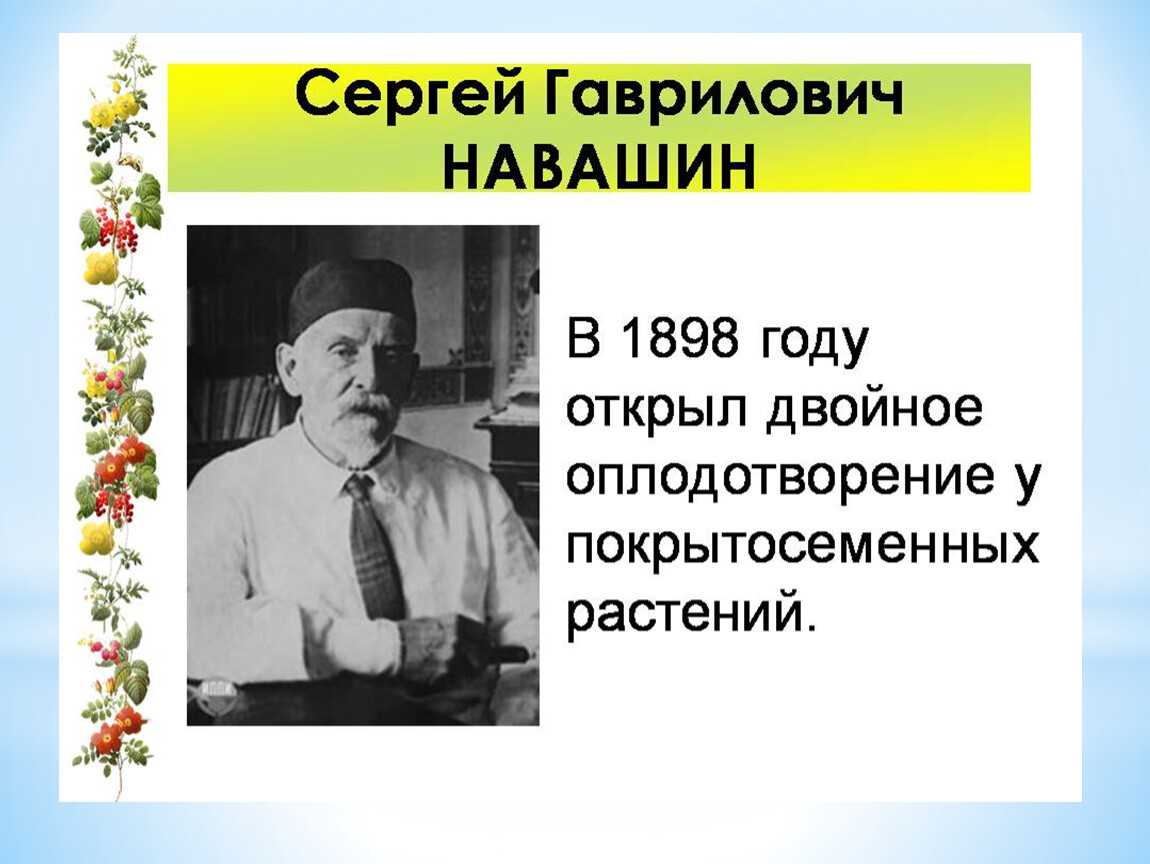 С.г. навашин. жизнь и творчество.  доклад, проект