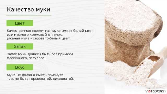 Ответы .ru: почему мука имеет слегка сладковатый вкус??? почему мука имеет слегка сладковатый вкус собаки с острыми ушами лайфхаки для школы как спрятать еду