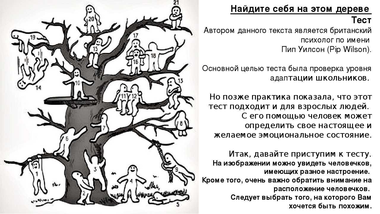 Что такое лесная школа и как она может помочь в психологическом тестировании