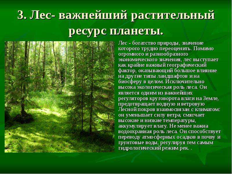 Доклад охрана природы 3, 4, 7 класс сообщение