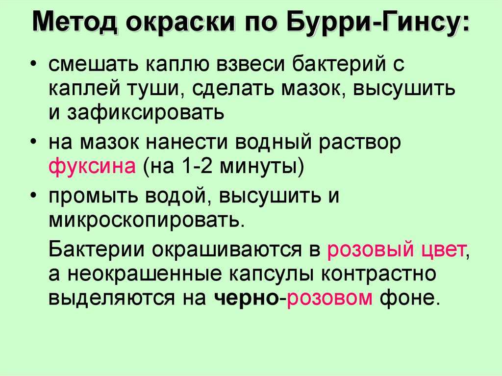 Окраска по бурри гинсу кратко
