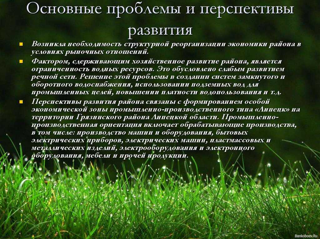 Часть 2. проблемы и перспективы социально-экономического развития центрально-черноземного экономического района.. региональная экономика и управление - контрольная работа