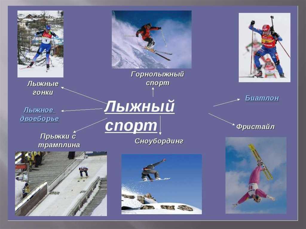 Ходьба на лыжах — польза, виды, особенности