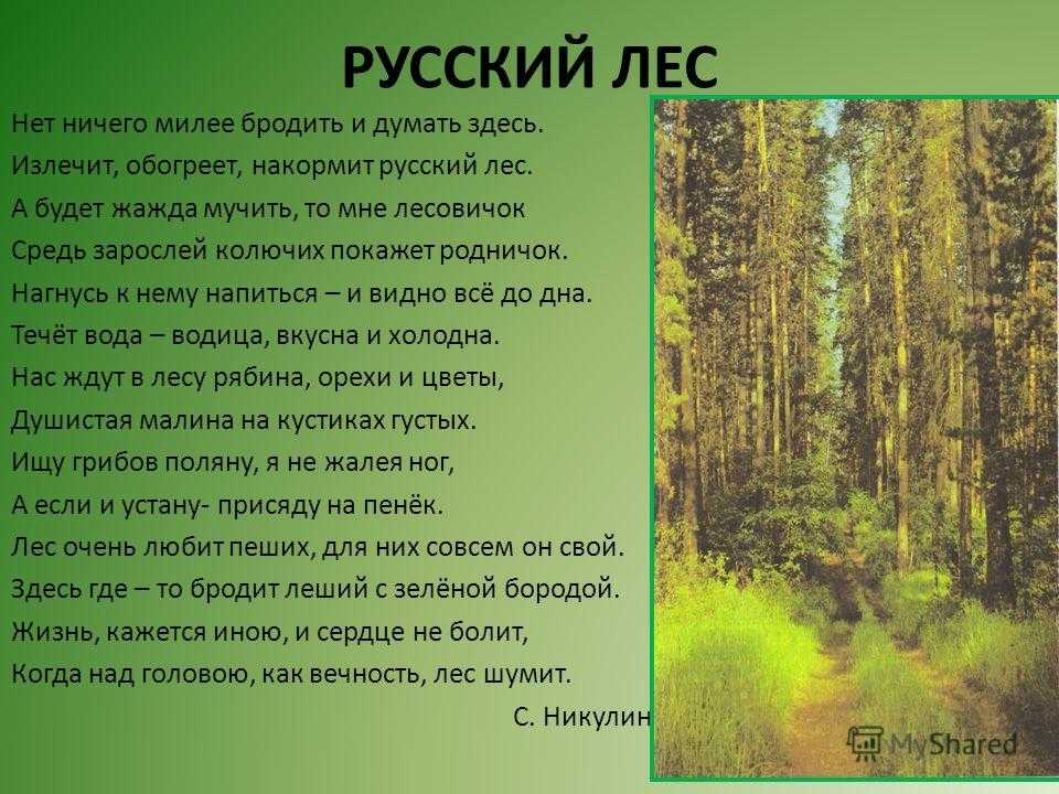 Мало ли что можно делать в лесу сочинение 6 класс