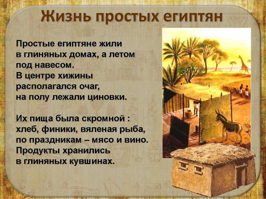 Рассказ от имени земледельца