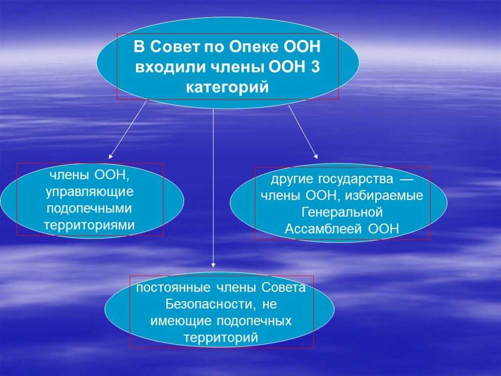 Совет по опеке