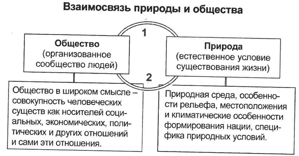 Что такое общество как сложная система: основные концепции и принципы
