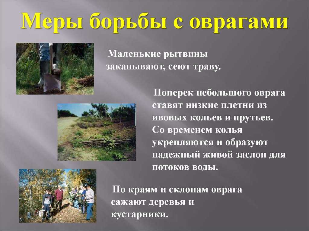 Предложи меры по борьбе с оврагами - узнавалка.про