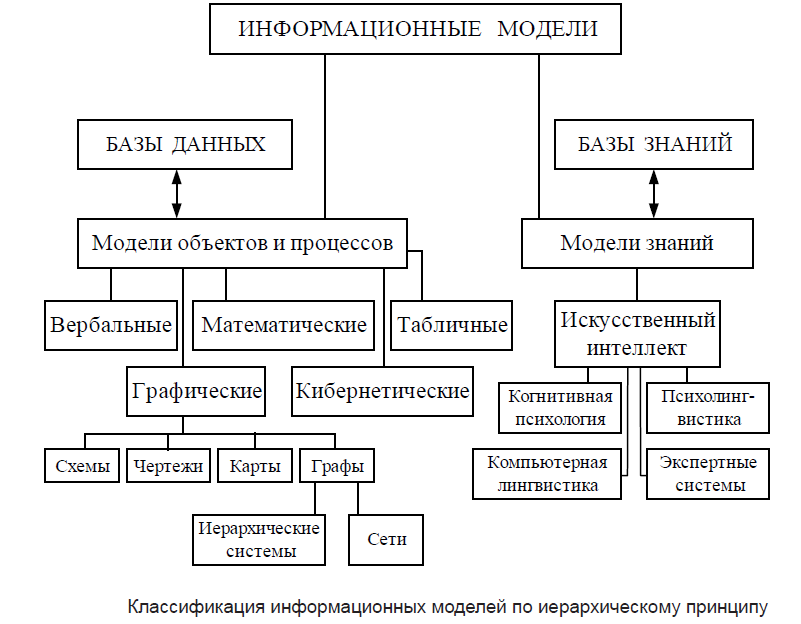 Информационные модели