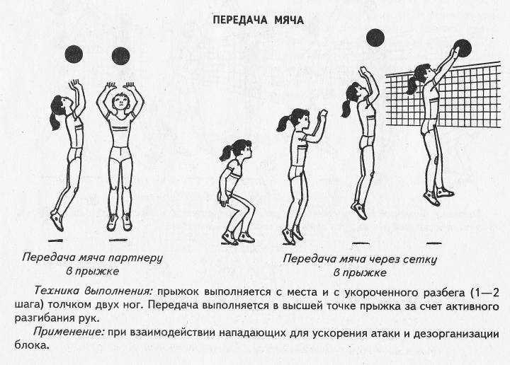 Правила игры в волейбол кратко для школьников: основные моменты игры