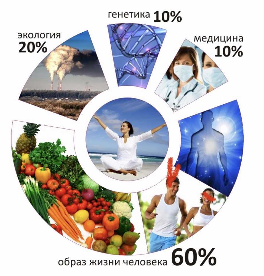 7.1. здоровье человека — как индивидуальная, так и общественная ценность