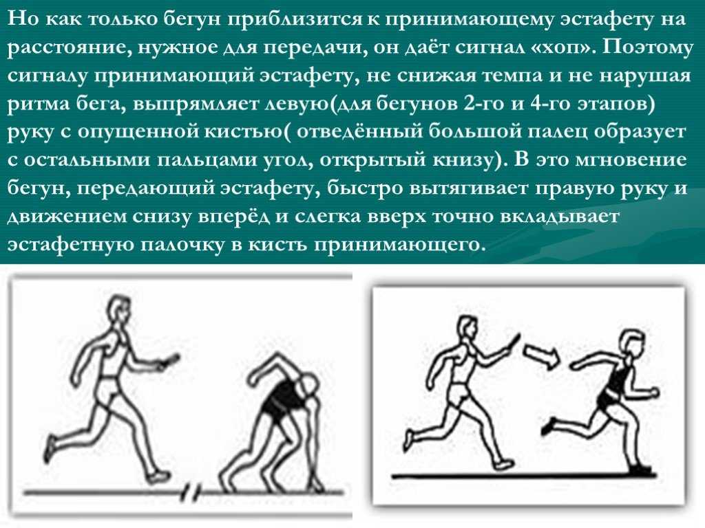 Эстафетный бег: техника, виды и правила