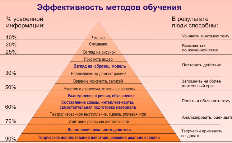 Структура процесса обучения — структура учебного процесса, характеристика структурных компонентов