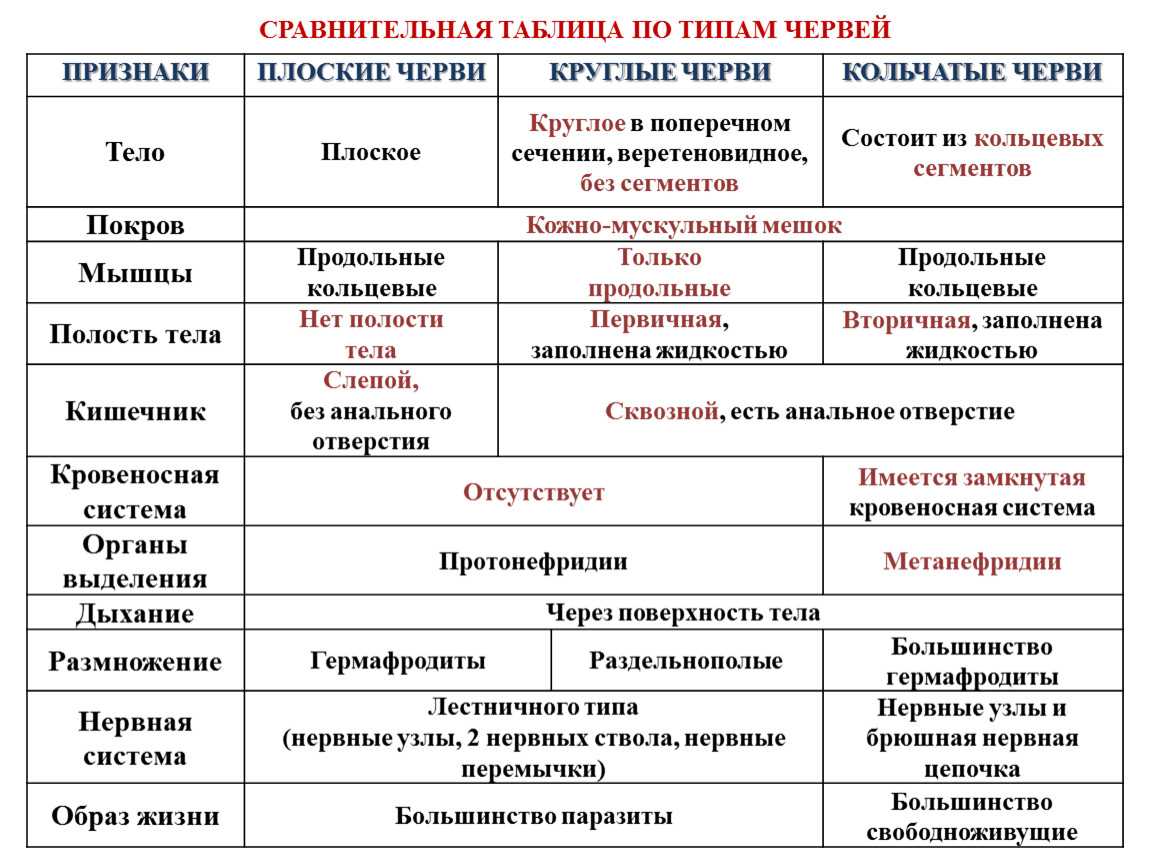 Биология пасечник учебник §10 | 7 класс онлайн