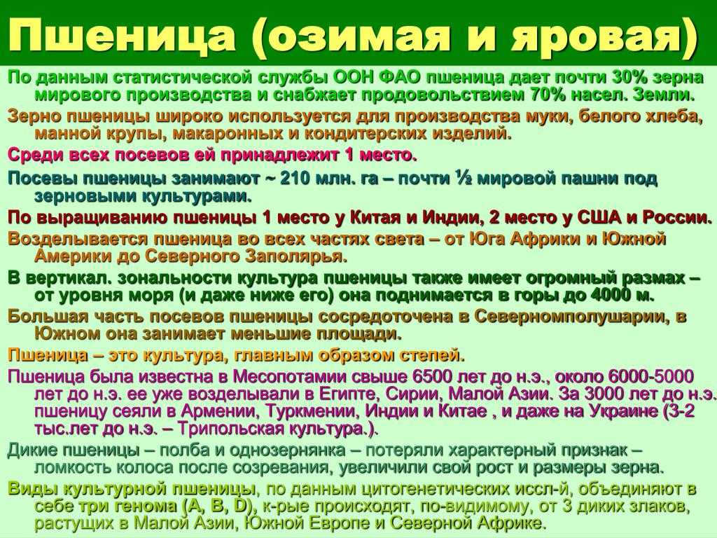 Характеристика сортов яровой пшеницы