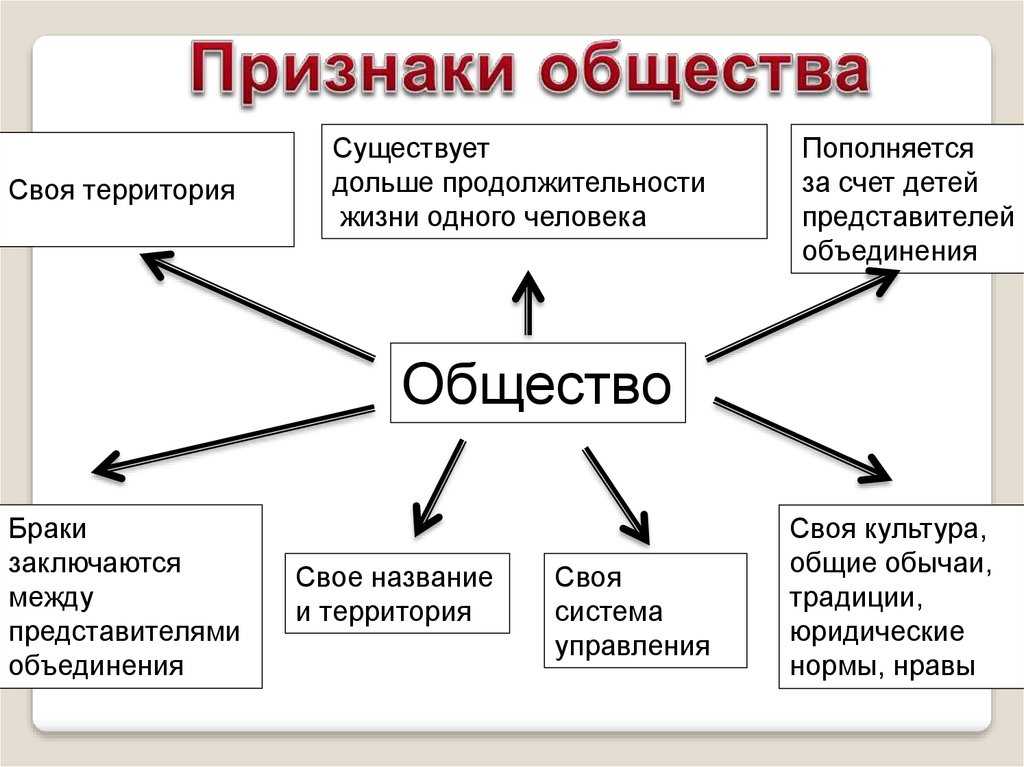 Что такое общество. обществознание 10 класс. боголюбов