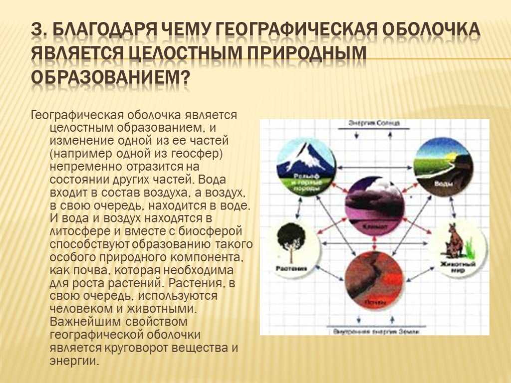 Что такое географическая оболочка?