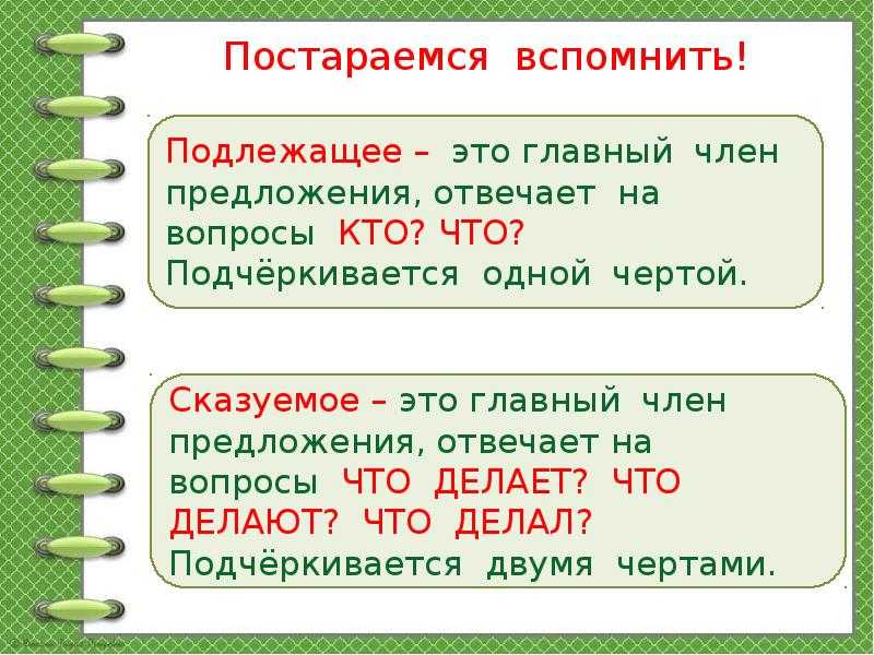 Правила составления предложения в 2 классе: все основные моменты школьного курса русского языка