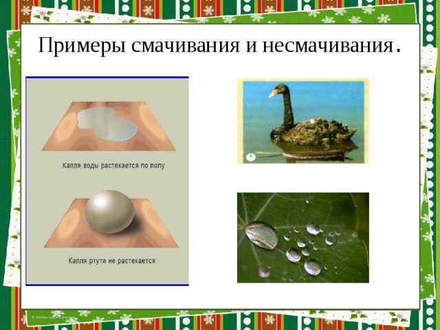 Что такое явление смачивания и несмачивания?