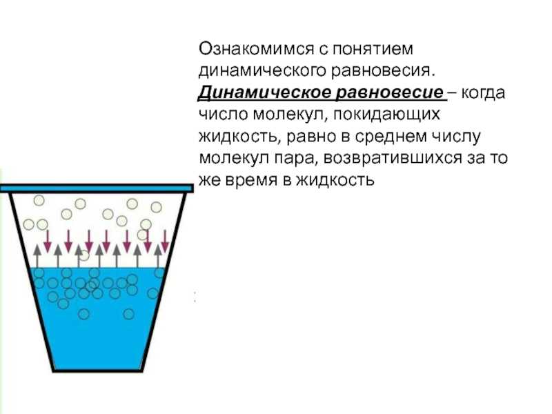 Когда наступает динамическое равновесие между паром и жидкостью? - узнавалка.про