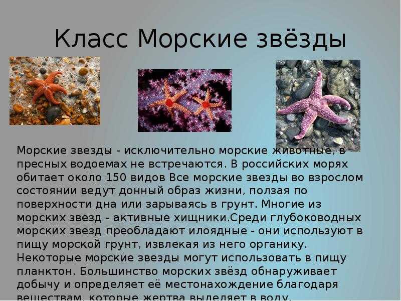 Гдз окружающий мир рабочая тетрадь 3 класс плешаков - 1 часть, страница 50 - 54
