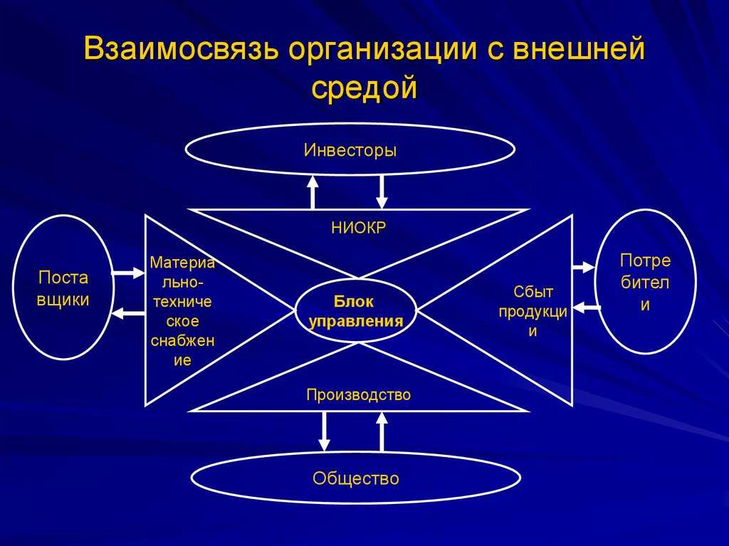 Каковы связи и отношения общества как системы со средой кратко