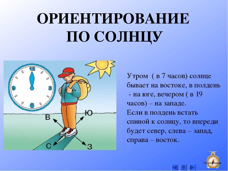 Как ориентироваться по солнцу, звездам и луне