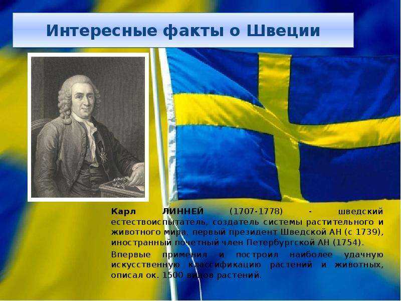 Форма административно территориального устройства швеции. форма государственного правления швеции. политическая система швеции
