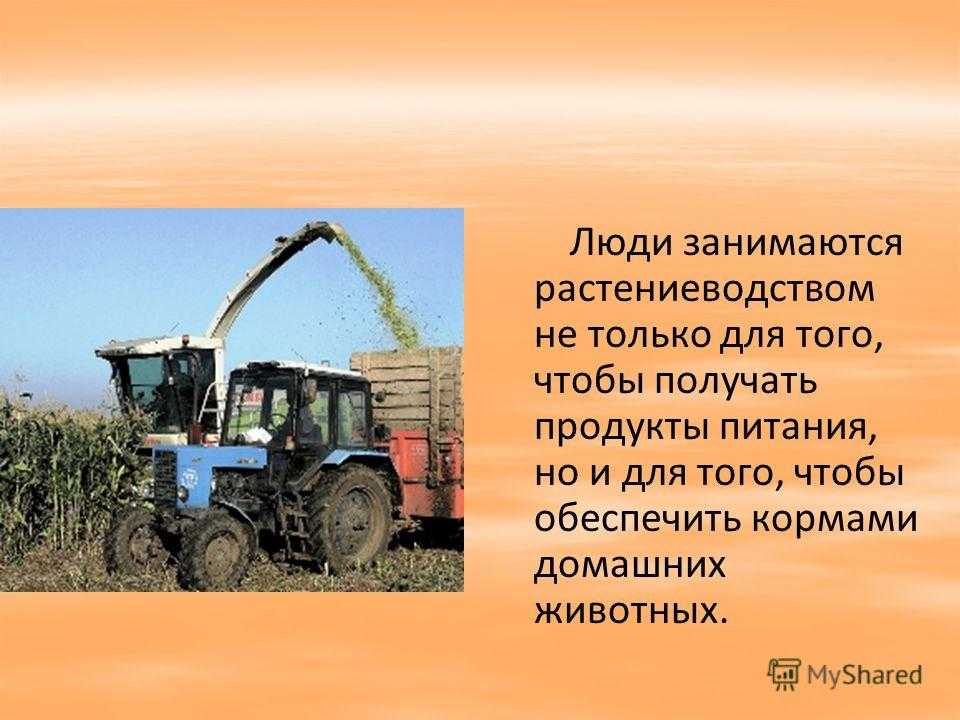 3 класс. русский язык. канакина, горецкий. учебник. часть 2. упражнение 121
