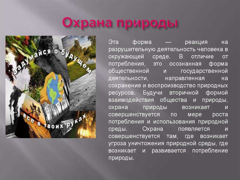 Трение в технике и природе • 7 класс • физика