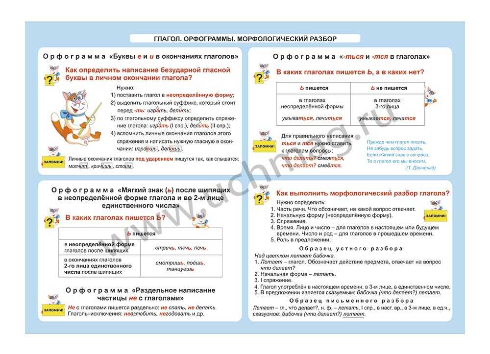 Что такое орфограмма 1 класс: правила и примеры и как их подчеркивать?