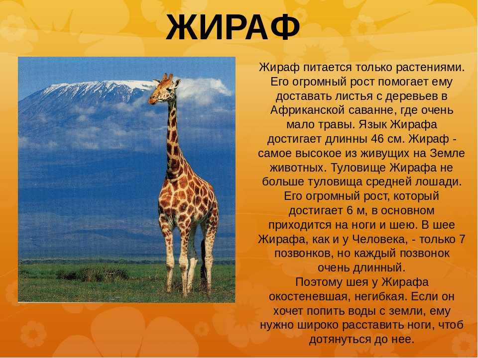 9 мая день победы! (2 класс)  доклад, проект