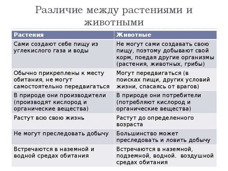 Заполните таблицу «сходства и различия животных и растений». - узнавалка.про