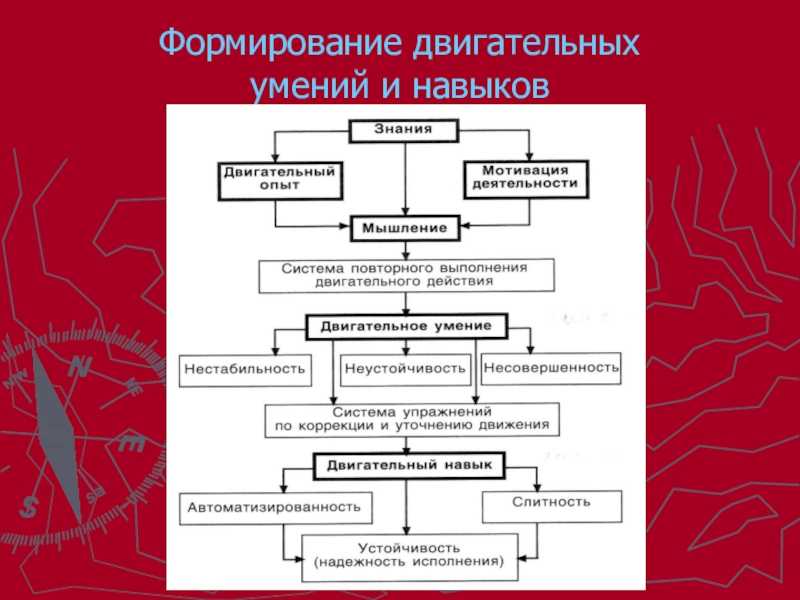 Теоретические основы