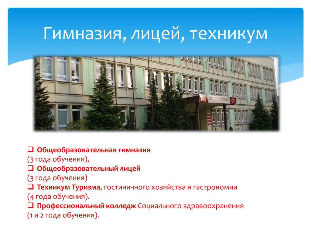 Хочу стать гимназистом: чем гимназии отличаются от лицея