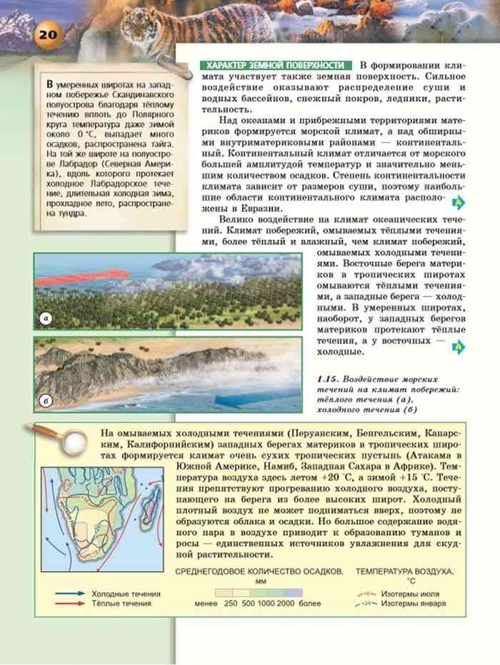 Население китая: основные показатели и актуальные проблемы