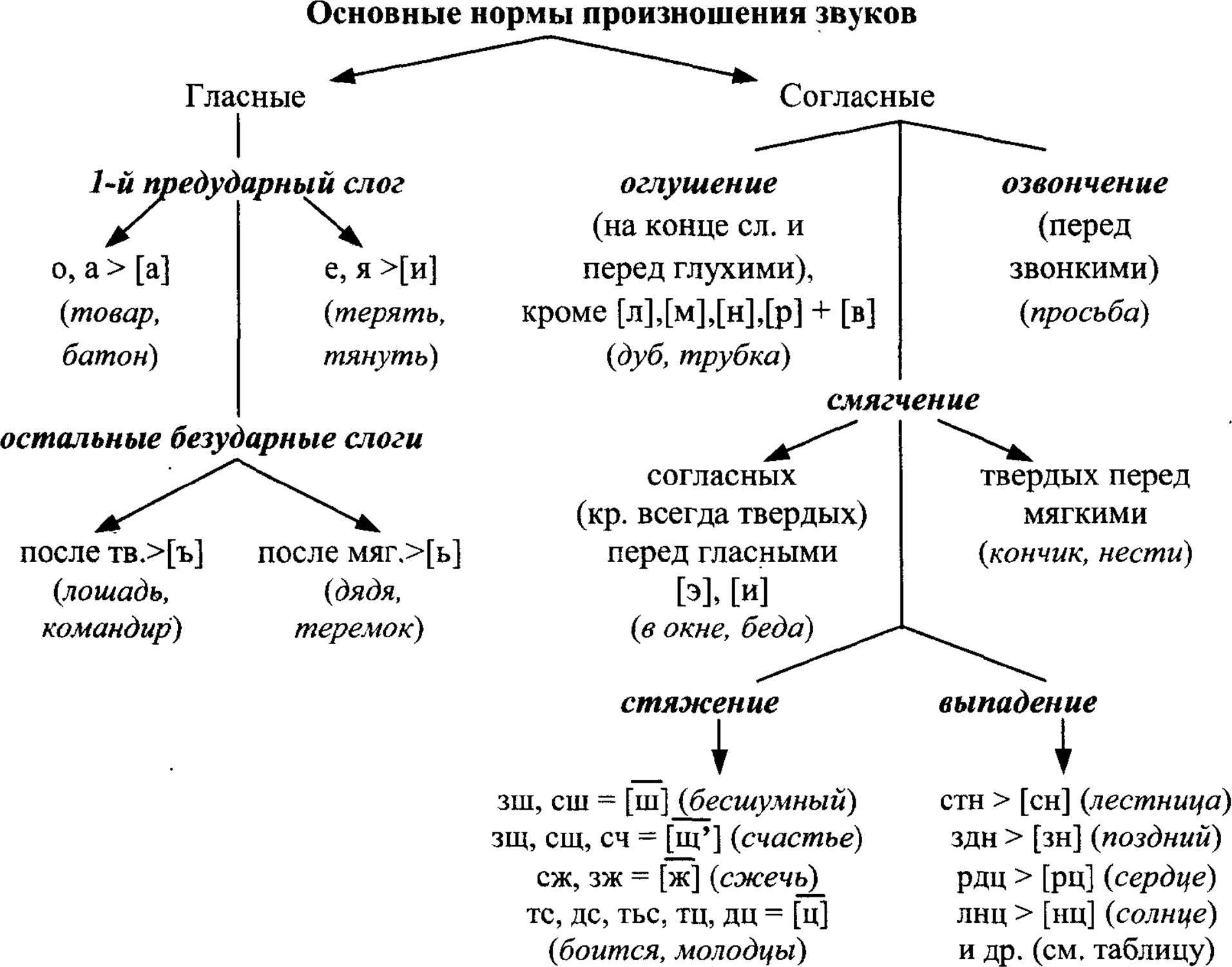 Фонетическая система русского языка кратко - технологии | altarena.ru